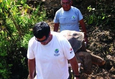 Ultimul gigant in viata a murit de batranete in captivitate! Vezi care e ultima specie care a disparut de pe Pamant! FOTO