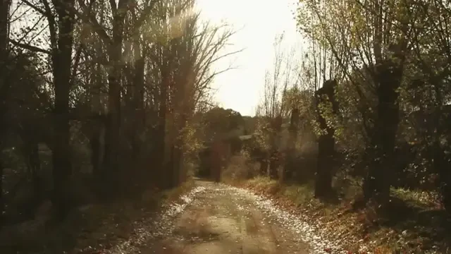 VIDEO Cea mai MICA masina din istoria Raliului de la Dakar! Smart se ia la tranta cu baietii mari! Cum arata monstruletul modificat