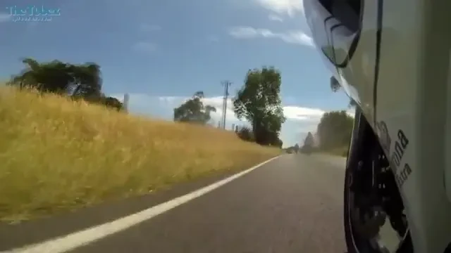 VIDEO Ciocnire VIOLENTA intre un motociclist si un urs pe sosea! Reactia de ultima clipa i-a salvat viata! Vezi cum a reusit: