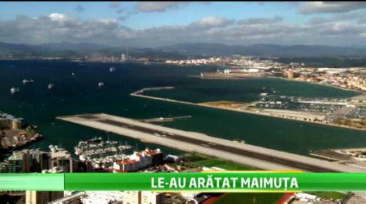 Campionii de la CFR Cluj, atacati de maimute :) Maftei si Rada i-au suparat pe localnici! Cum erau sa se aleaga cu o amenda: