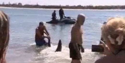 VIDEO Momentul INCREDIBIL in care un barbat trage de un rechin cu mainile goale! Cum si-a salvat nepotii de la o DRAMA!