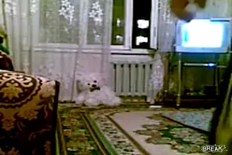 Ti-o cauti cu lumarea? Loveste-l pe pustiul asta si vezi ce se intampla: E o arma LETALA! VIDEO