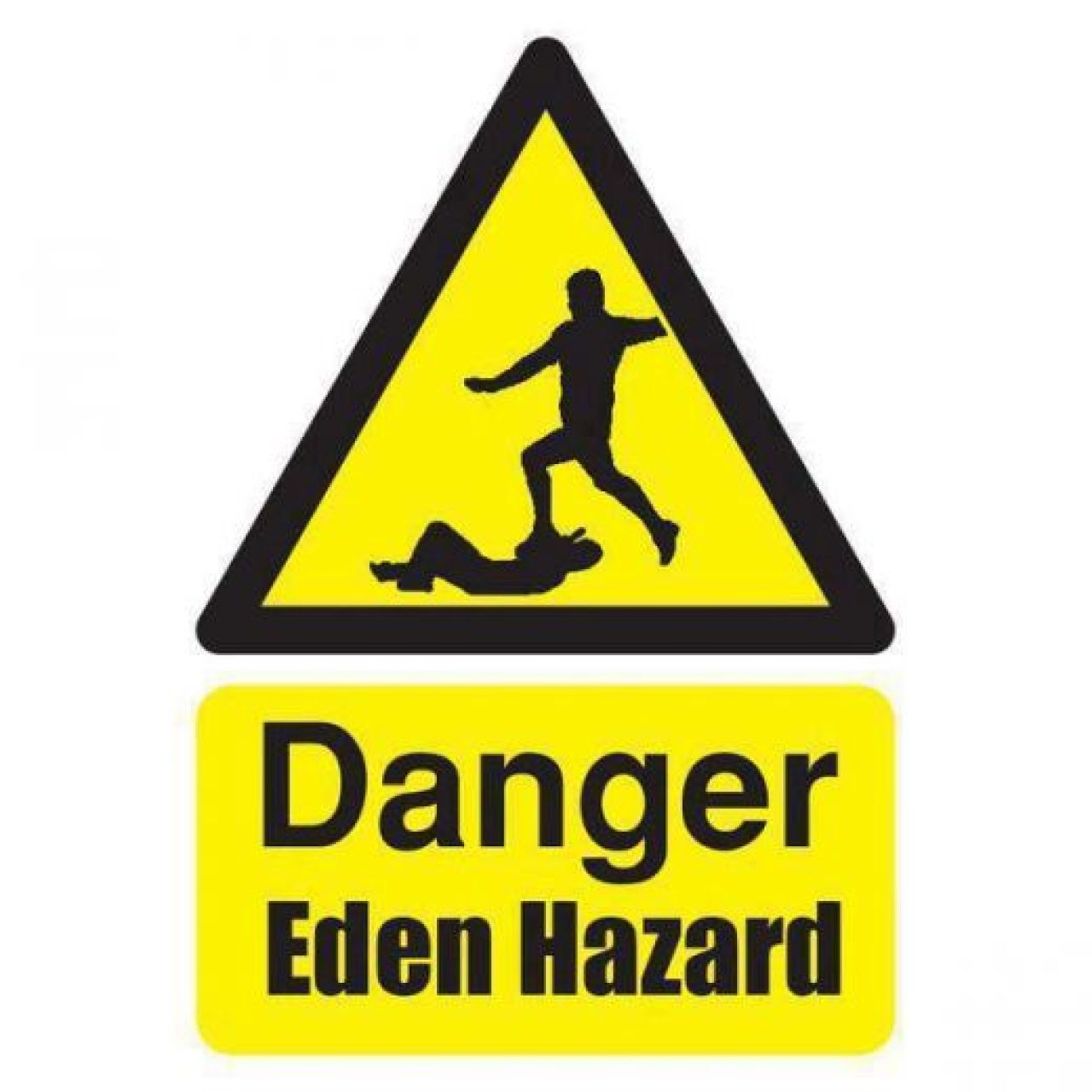 ALERTA! Swansea il vrea pe Martinovici dupa scandalul cu Hazard :) Cele mai tari glume de pe net! De ce nu a fost Torres implicat si prima schimbare pentru FIFA 14:_2