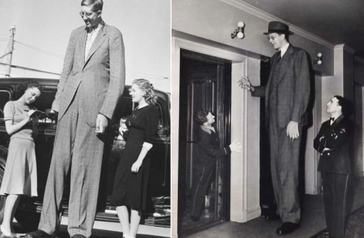 Filmari RARE cu gigantul bland - ultimul urias care a trait pe pamant: Avea 2.72 metri si a avut un sfarsit TRAGIC! VIDEO