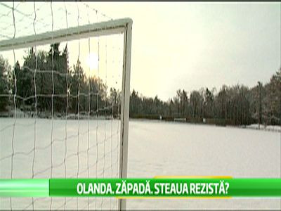 Steaua urmeaza modelul olandez pentru meciul cu Ajax! S-a cazat in padure, la casute , unde sta si Portocala Mecanica ! Cum arata cantonamentul Stelei: