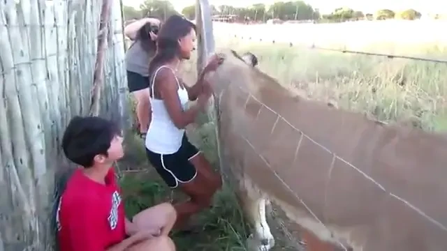 Se joaca cu LEII de parca ar fi niste pisicute! VIDEO IREAL: Clipul care schimba tot ce stiai! Cum a fost posibil: