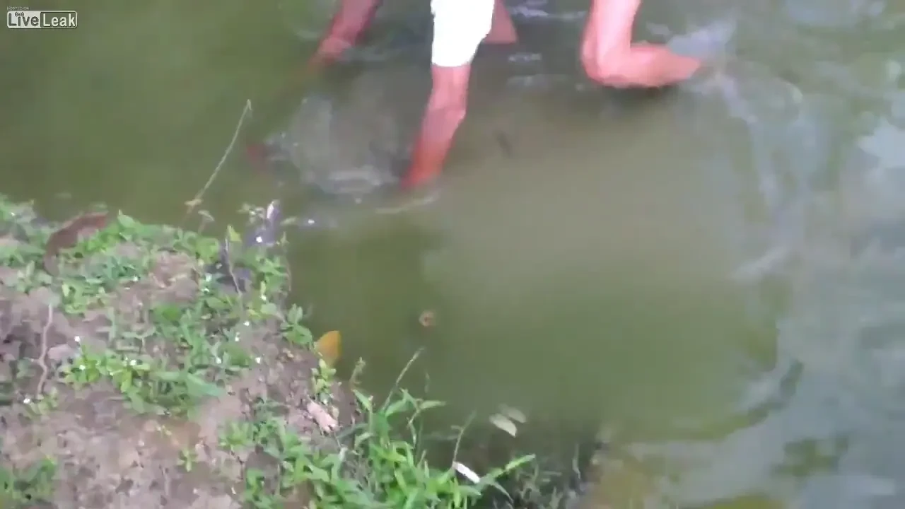 Un sport interzis de lege in Romania! Faza dupa care trebuia sa fie MORT! Greseala fatala pe care a facut-o un pescar VIDEO