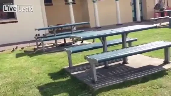 Un batran a luat MOARTEA la suturi! Ce a fost in stare sa faca intr-o secunda in care putea muri! Totul e filmat! VIDEO