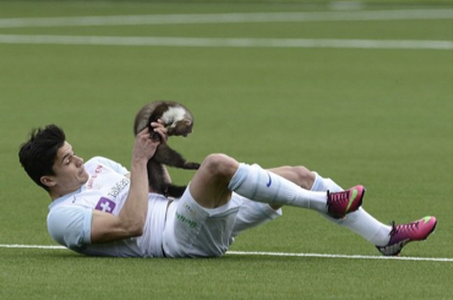 Scene SOCANTE la un meci din Elvetia! Un atacator a intrat pe teren si a RANIT un fotbalist! Cum a fost teroristul anihilat :)) SUPER VIDEO