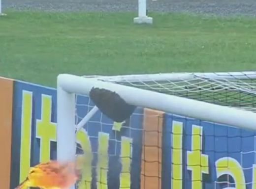 SOCANT! Premiera mondiala la un meci din Brazilia! Partida nu a putut sa inceapa din cauza unei adevarate INVAZII! Momentele care au creat panica: VIDEO
