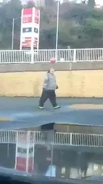 Grasul asta are un FOTBALIST in el! :) Ce poate face cu mingea la +100 kilograme! Cei care i-au filmat jongleriile s-au SPERIAT de talentul sau! VIDEO