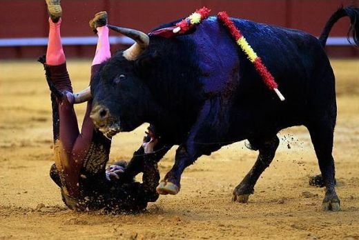 FOTO Soc si groaza in Spania! Un taur a facut RAVAGII in arena! Momentul in care matadorul a crezut ca va MURI:_3