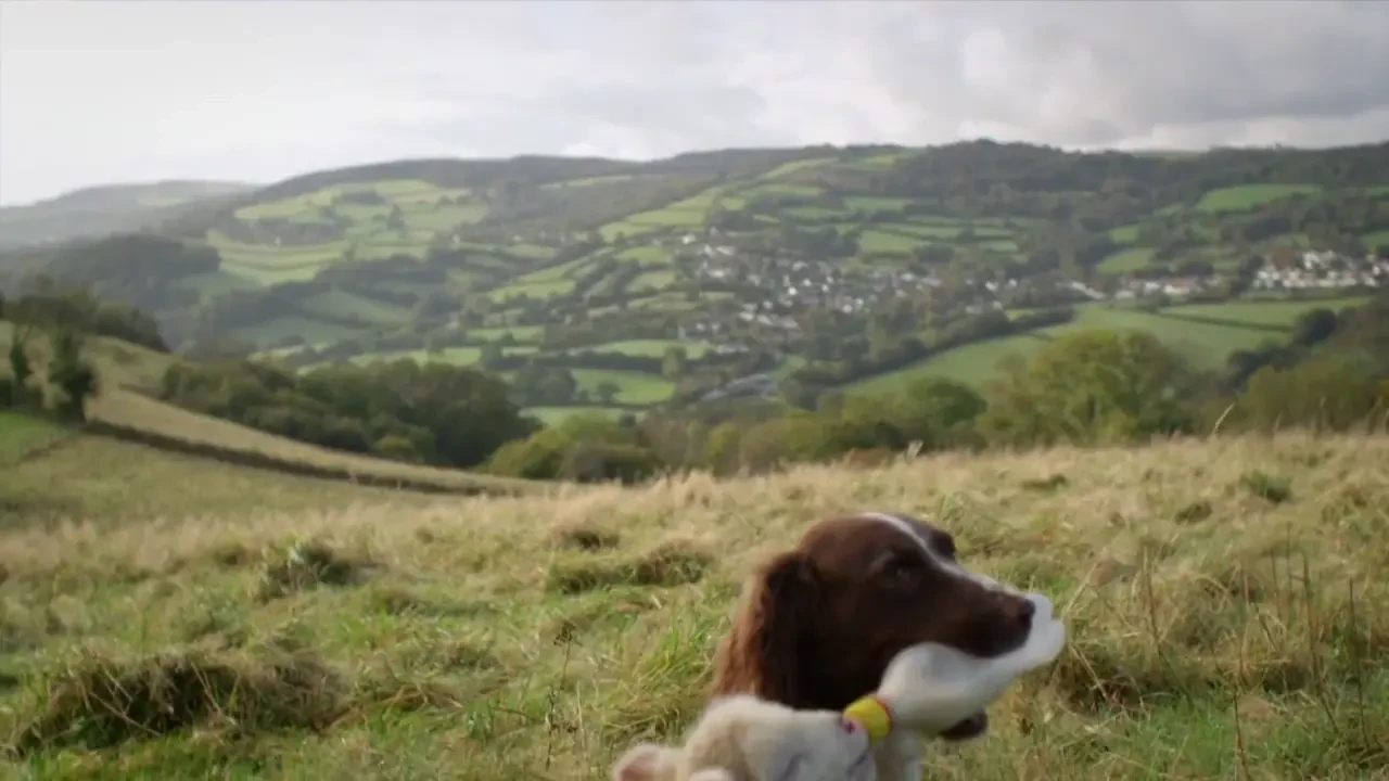 Ti se face pielea de gaina! Un biet miel a ramas orfan si murea de foame! Iti dau lacrimile cand vezi ce a facut acest caine: VIDEO