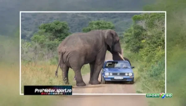 ProMotor: Cele mai stupide legi de circulatie! Te gandeai ca exista asa ceva?