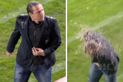 EXCLUSIV Cel mai jenant moment de la Rapid - Steaua a fost rezolvat! Ce s-a intamplat cu fanul care a aruncat cu un lichid pe Reghecampf: