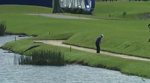 VIDEO INCREDIBIL! Jucau golf cand au vazut CROCODILUL in spate! Toata lumea s-a temut de un dezastru! Ce s-a intamplat