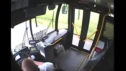 Un MIRACOL DUMNEZEIESC a salvat o caprioara de la moarte! A fost lovita in plin de autobuz si a intrat direct prin parbriz! Cum s-a terminat intamplarea: VIDEO