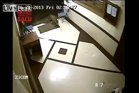 SOCANT! Creatura la care nu se astepta nimeni a intrat in CASA! Camerele au filmat cum a ucis cu sange RECE! VIDEO