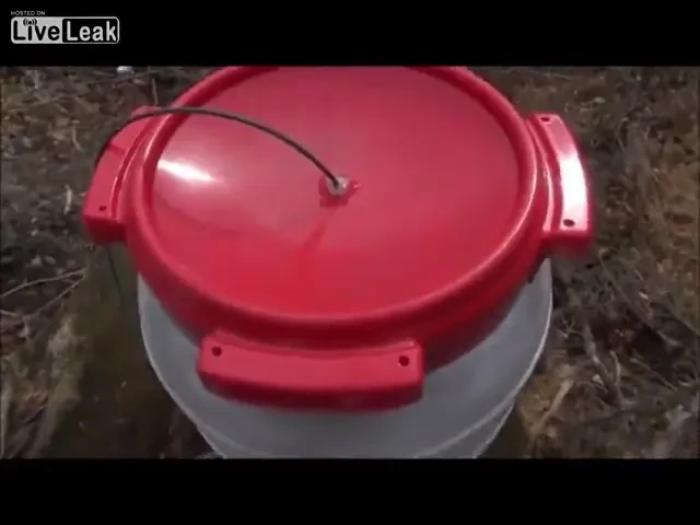 Era o padure LINISTITA! Momentul care a speriat mii de oameni! Ce a filmat un NEBUN! Atentie la sunet! VIDEO