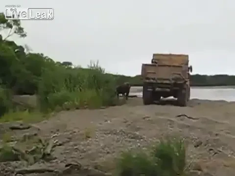 Aparitie SOCANTA pe plaja! Oamenii au fost ingroziti, credeau ca ii va MANCA! De ce le-au tremurat si dintii din gura! VIDEO