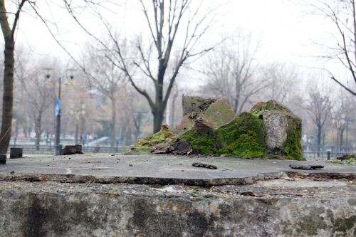 Dezvaluiri de SENZATIE din vestiar: au ajuns campioni cu bani de la BORDEL! Steaua care trebuia sa DISTRUGA TOT in Romania a disparut! Caz unic in fotbal