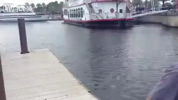 Aparitia BIZARA din apele linistite! Au aruncat o funie, apoi au tras un 'monstru' la mal! Ce au gasit pe fundul apei! VIDEO