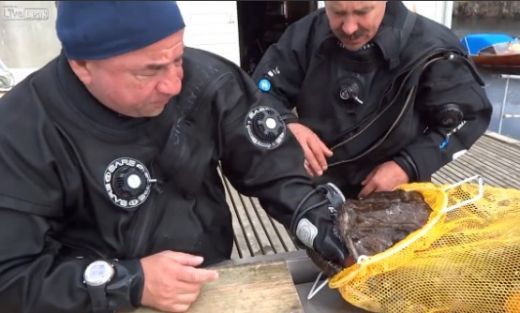 Un peste ciudat I-A INGHITIT MANA pescarului! Vezi ce se intampla la final: VIDEO