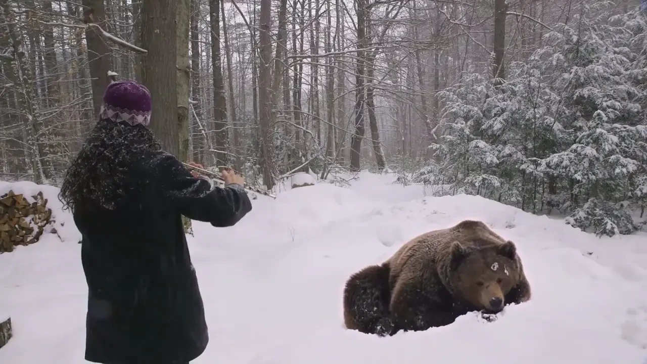 Si-a riscat viata pentru un moment genial! Ce a patit aceasta fata cand s-a apropiat de un URS 'inarmata' cu un flaut: VIDEO