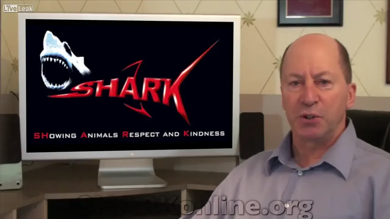 CRUZIME fara precedent fata de animale! Au inventat o sarbatoare MONSTRU: copiii matrateaza animale pentru distractie! VIDEO: