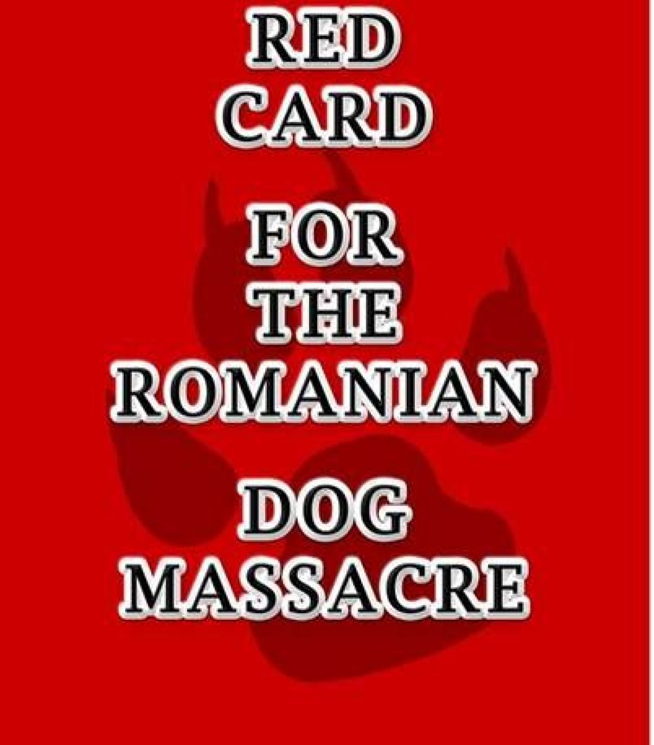 LIVE BLOG Europa, AICI Romania | Steaua s-a batut singura! Ienei: