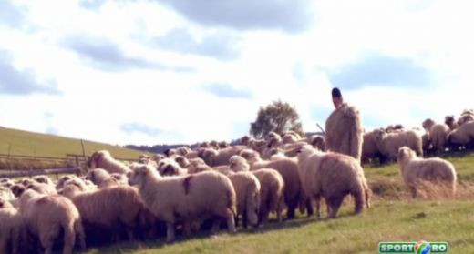 Ghiceste cineva? Cu ce echipa de fotbal din Romania tine Ghita Ciobanu :) VIDEO