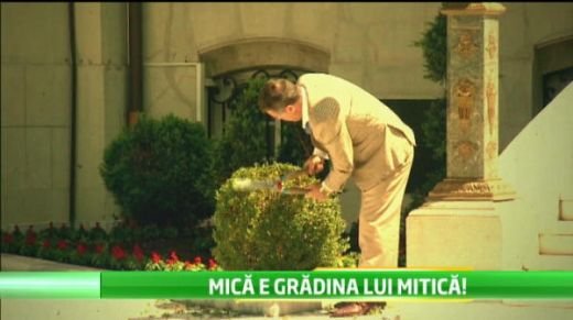 Gigi Becali poate fi ANGAJAT de Mitica Dragomir: Are un post pentru care poate iesi din inchisoare! Vezi ce-i propune: