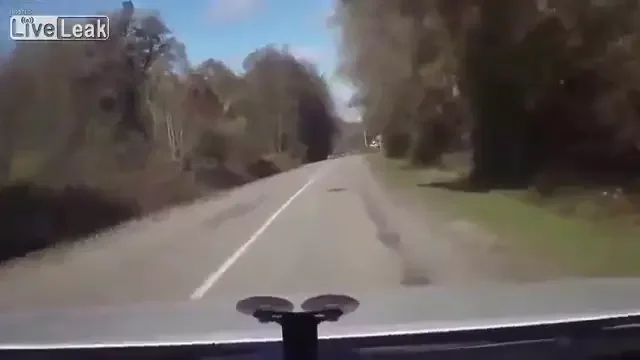N-ai cum sa faci asa ceva! :)) Erau prea beti ca sa-si dea seama in ce MASINA s-au urcat! Sau poate nu era masina? VIDEO