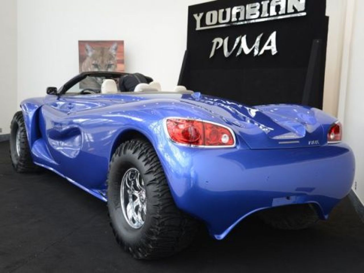 SUPER MASINA zilei | Frankenstein EXISTA! E cat un Hummer, dar e decapotabila si costa 1 milion de euro! Vezi imagini:_4