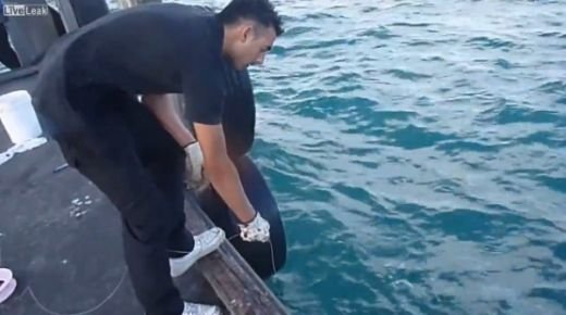 Cel mai NOROCOS pescar din lume! A reusit sa prinda un peste GIGANT cu o undita improvizata! Vezi ce a scos din apa: