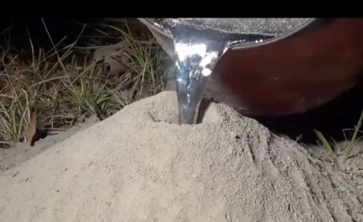 A turnat aluminiu topit intr-un musuroi de furnici! Iti sta mintea in loc daca vezi ce a scos din pamant: VIDEO NEBUN
