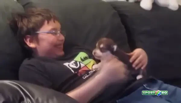 Ti se TOPESTE inima! Cum invata un catel dragut sa 'cante' ca un LUP FEROCE! Clipul de mii de LIKE-uri: VIDEO