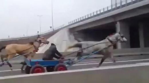 Cel mai TRAZNIT moment din 2013 pe o autostrada din Europa? Romania castiga DETASAT cu un clip incredibil: cursa de carute pe A2