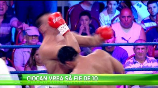 Scenariu DE VIS! Romania poate avea trei campioni mondiali la box in 2014! Cum se poate intampla