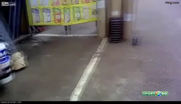 Motanul KAMIKAZE! A vrut sa prinda o pasare in zbor si era sa se sinucida! Ce s-a intamplat o secunda mai tarziu e infiorator: VIDEO