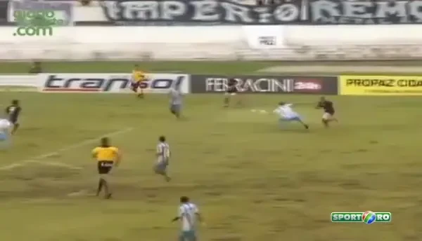 Aparitie incredibila in Brazilia! Un catel a intrat pe teren si a intrerupt meciul! VIDEO