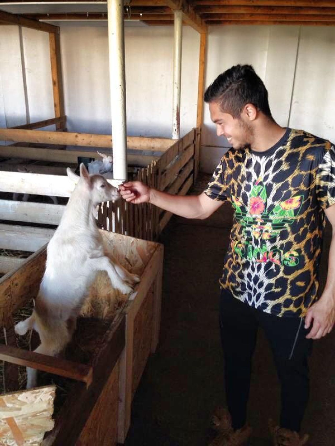 Iancu revine! Le-a aratat fanilor de pe facebook noile incaltari de plus! SUPER FOTO:_1