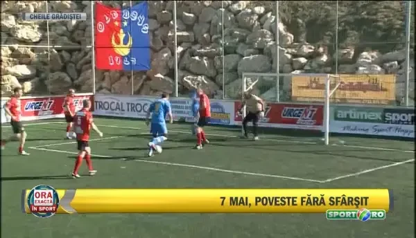 Belodedici la Cheile Gradistei