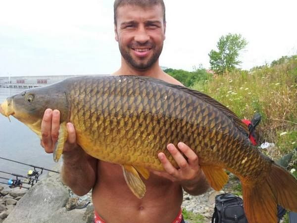 Captura URIASA pentru Bute in Delta Dunarii! :) Ce peste a prins