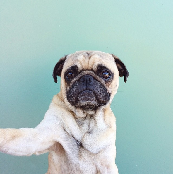 Transformarea incredibila a lui Macaulay Culkin! Toata lumea astepta sa vada aceasta imagine! FOTO_4