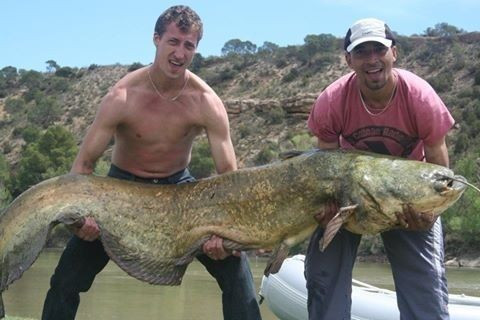 FABULOS | Doi romani se pot lauda cu o captura NEBUNA la pescuit! Cat de mare e pestele pe care l-au prins :) FOTO