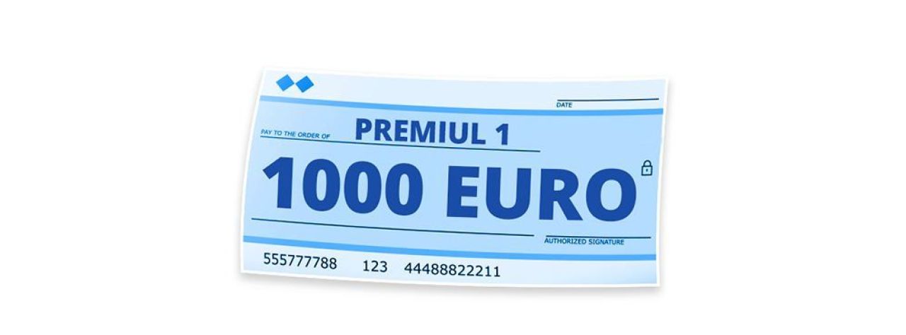 Ei sunt finalistii CONCURSULUI