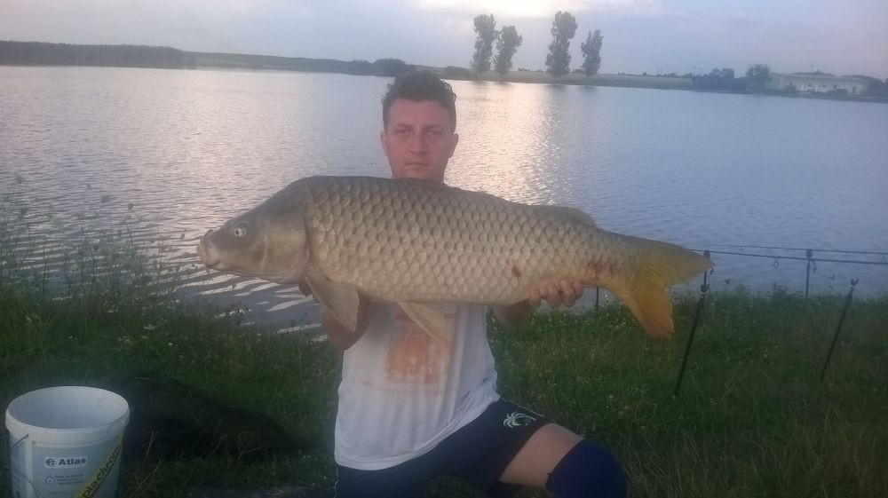 Ei sunt finalistii CONCURSULUI 