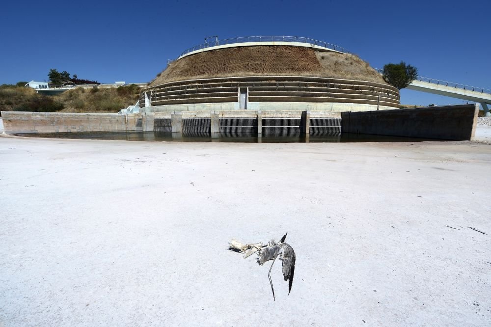 FOTO INCREDIBIL! Ruinele moderne din Grecia! Cum arata arenele de 9 MILIARDE, parasite la 10 ani dupa Jocurile Olimpice!_3