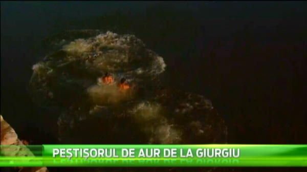 Francezilor nu le-a venit sa creada ce au vazut la Giurgiu! Imagini senzationale